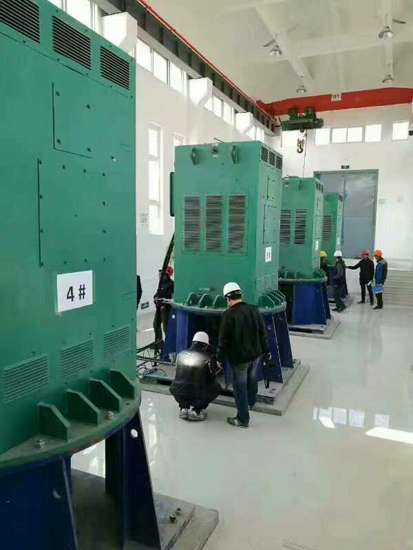 仁兴镇某污水处理厂使用我厂的立式高压电机安装现场