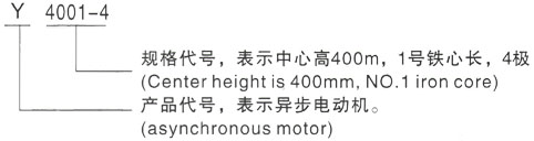 西安泰富西玛Y系列(H355-1000)高压仁兴镇三相异步电机型号说明